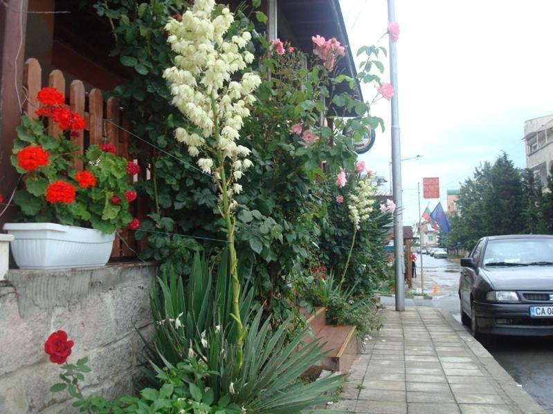 Lazur Hotel Rawda Exterior foto