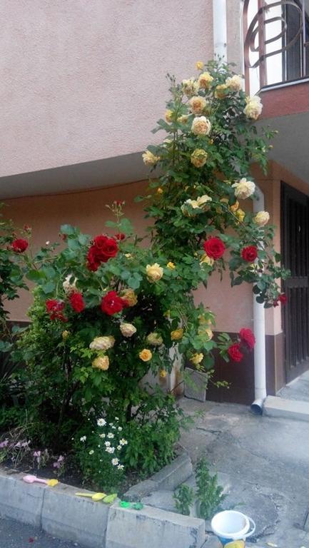 Lazur Hotel Rawda Exterior foto